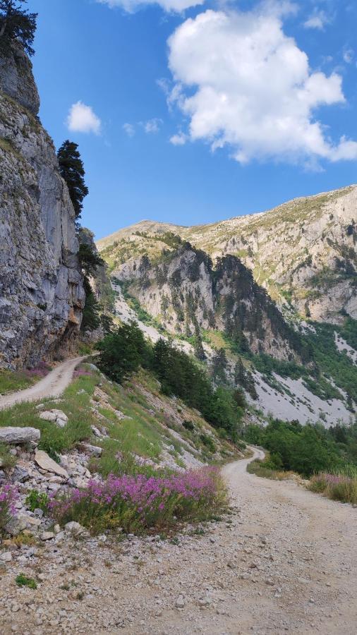 Katun Kuline Διαμέρισμα Kolašin Εξωτερικό φωτογραφία