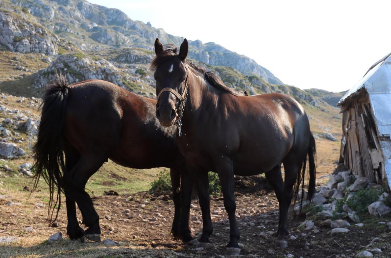 Katun Kuline Διαμέρισμα Kolašin Εξωτερικό φωτογραφία
