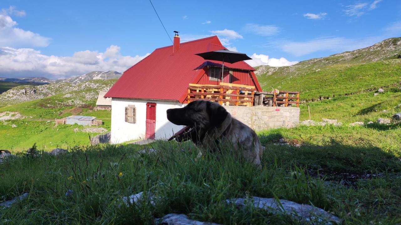 Katun Kuline Διαμέρισμα Kolašin Εξωτερικό φωτογραφία